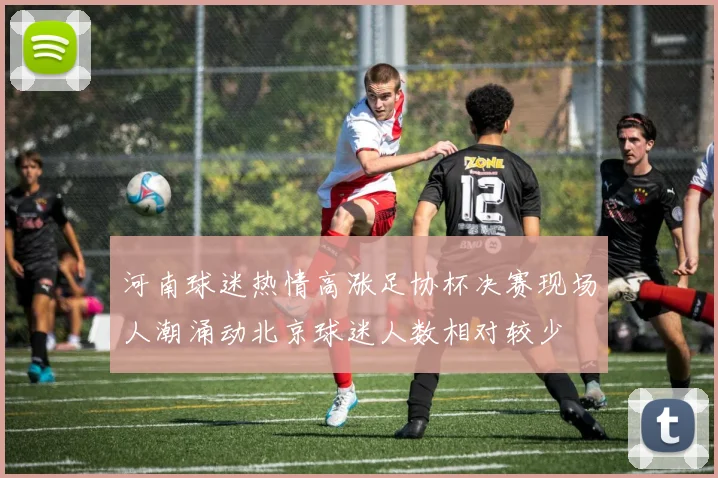 河南球迷热情高涨足协杯决赛现场人潮涌动北京球迷人数相对较少